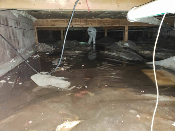 Trusted Water Damage Restoration in La Follette, TN | Fast, Reliable, and Ready to Assist You